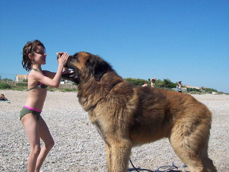 Solo du Pont des Aulnes