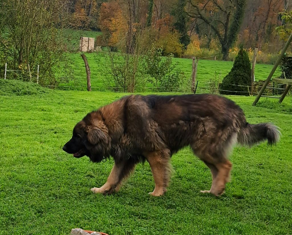 Upton du Pont des Aulnes